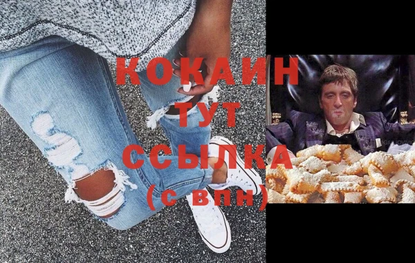 дмт Алзамай