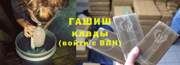 дмт Алзамай
