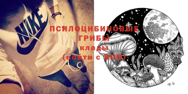 дмт Алзамай