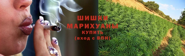 apvp Протвино