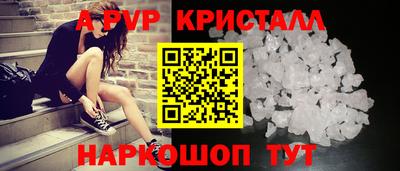 2c-b Кингисепп