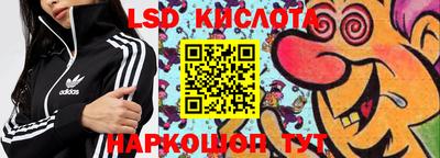 2c-b Кингисепп