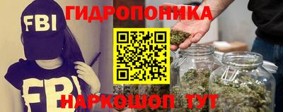 2c-b Кингисепп