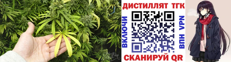 ТГК концентрат  как найти закладки  Муравленко 