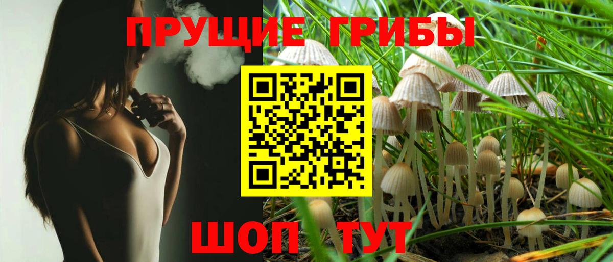 Псилоцибиновые грибы мицелий Муравленко