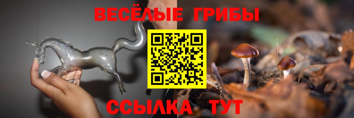 купить  цена  Галлюциногенные грибы Psilocybe  Вход с VPN  Муравленко 